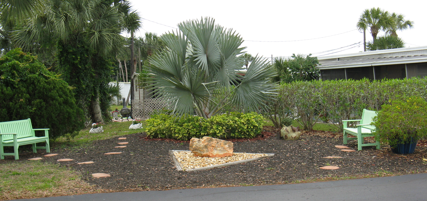 Picture of a Common area as you enter the Park maintained by the Garden Committee